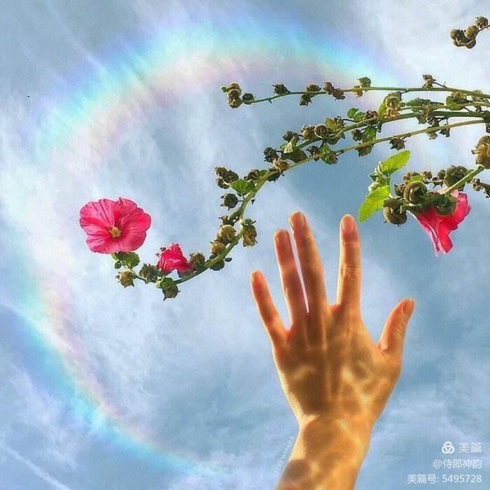 情爱禅语,佛家经典禅语