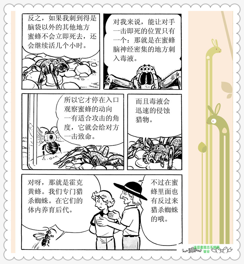 昆虫记法布尔动画片,昆虫记法布尔全套