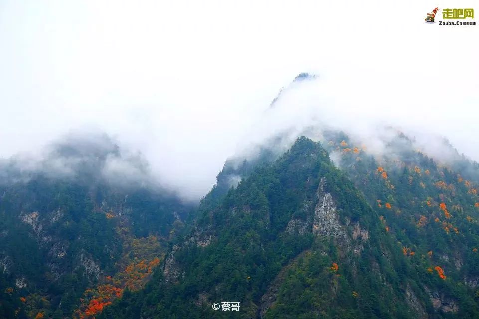 四川一条路途经全是石头的山,四川红叶一日游攻略