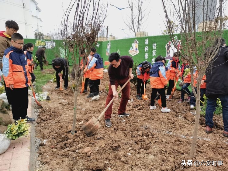 *光春**烂漫静待花开﻿——丰安小学3月活动纪实
