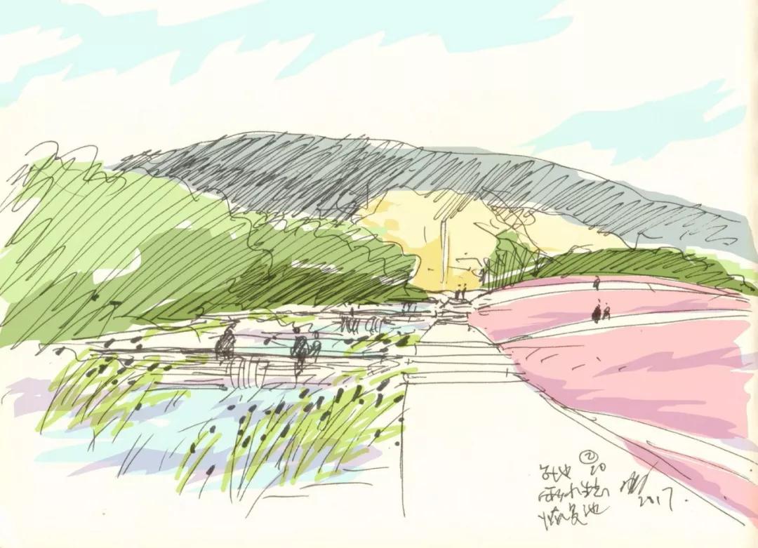 矿坑改造最美公园,矿坑改造湿地公园视频