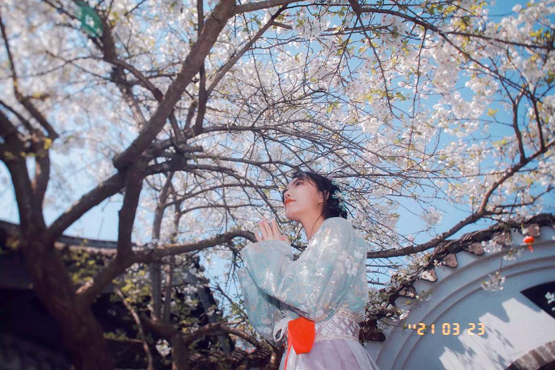 “海上小丽江”！这小城承包了海岛最美春色