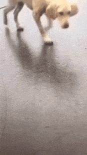 搞笑gif趣图姑娘有话好好说别动手,开心一刻gif搞笑动图