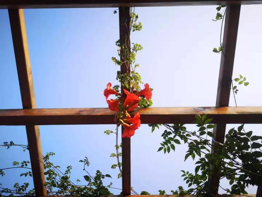 郑州10件大事,郑州市101中学简介