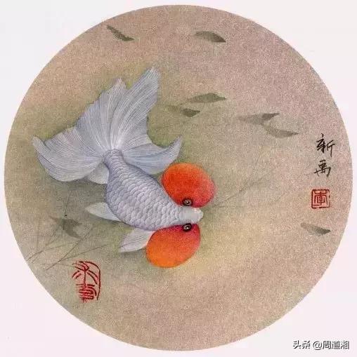 金鱼工笔画法图文教程你学会了吗,工笔画金鱼画法示范简单好学