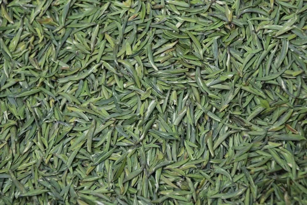 早上6点，去蒙顶山买茶是一种什么体验？