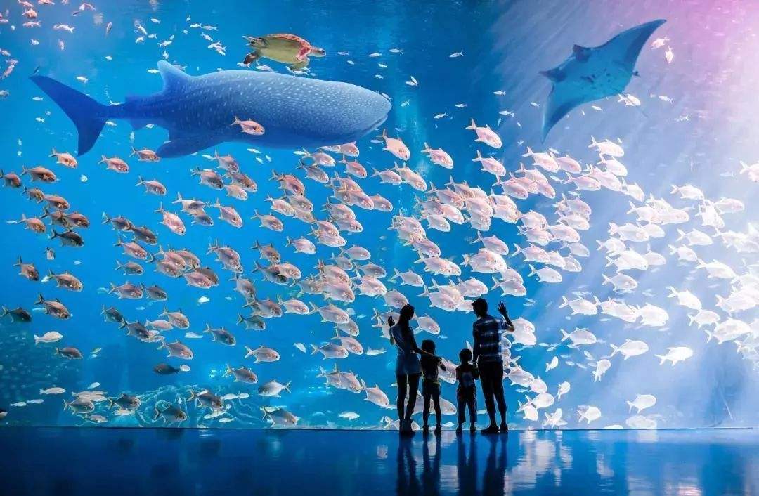 珠海值得去的旅游景点,珠海有哪些值得去的景点推荐