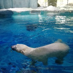 珠海长隆两日一晚游玩攻略,珠海长隆一日游攻略中餐