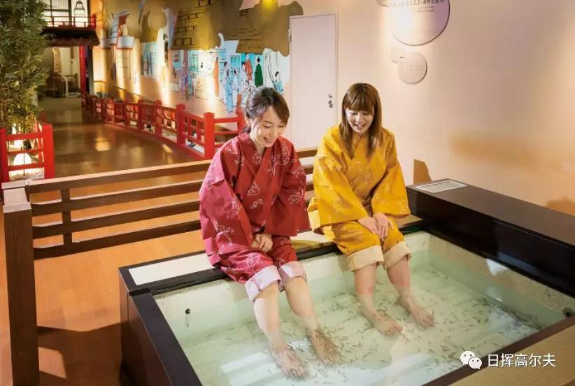 日本高尔夫欧巡赛,日本高尔夫巡回赛