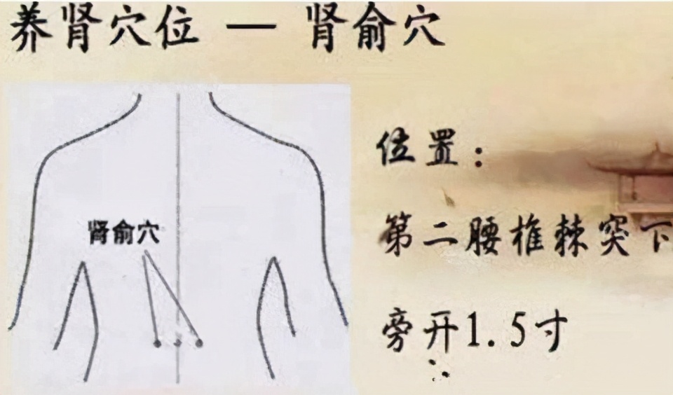 艾灸腰痛怎么灸,补肾艾灸灸哪个穴位最好得快