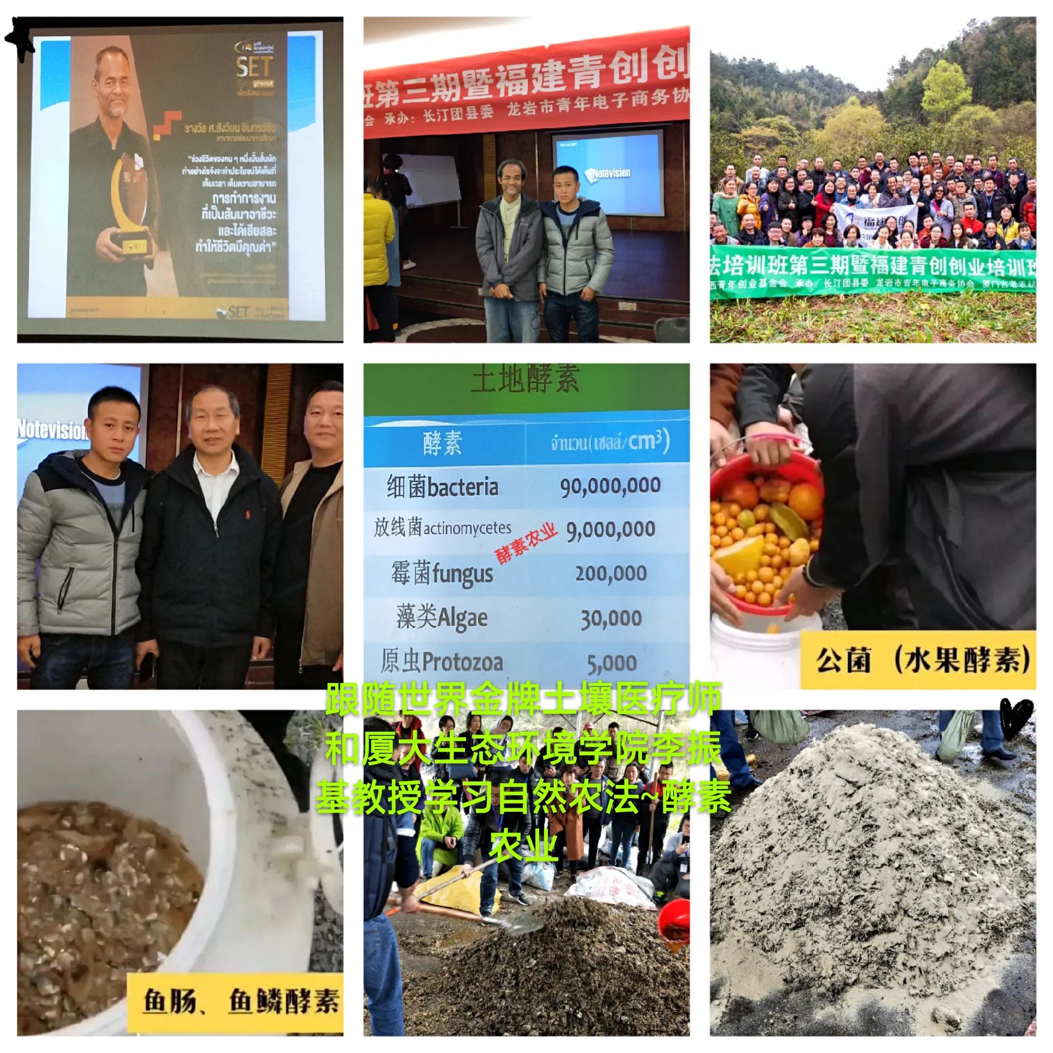 金牌土壤医疗师文龙老师谈“自然农法”，酵素和微生物菌改良土壤