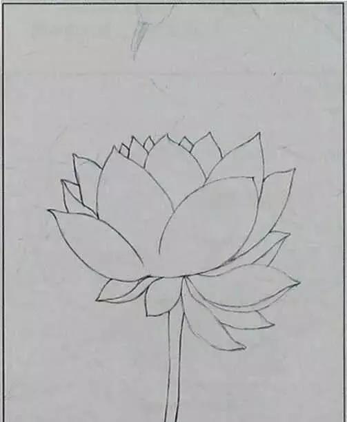 画荷塘与荷花,画一张美丽的荷塘画