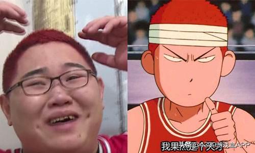 骚猪pdd在哪个直播平台,骚猪pdd直播视频