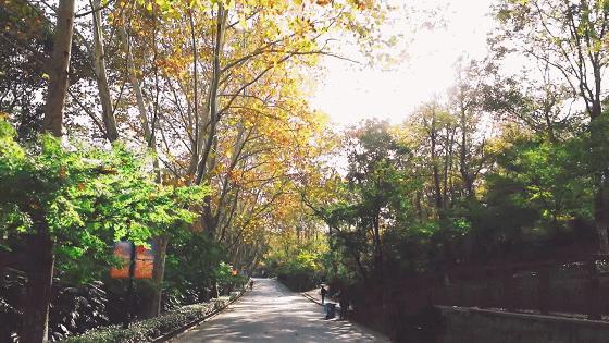 最漂亮的雨花台,雨花台风景太美了