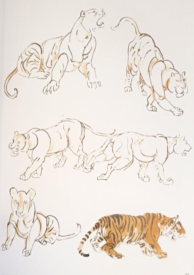 写意虎的画法教学视频,国画如何画虎教程图片大全