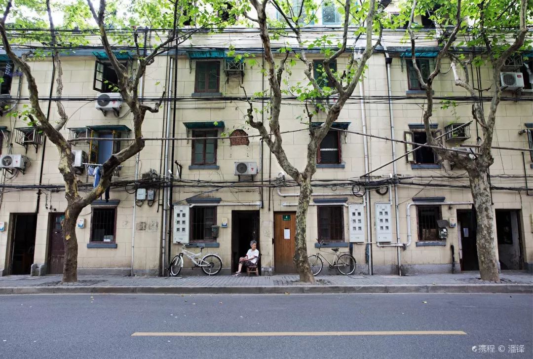 上海十大网红马路,魔都网红一条街