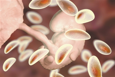 研究结论再次反转，健康人类胎盘不存在微生物