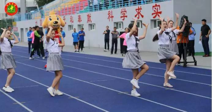 全国校园足球夏令营2023总营名单,2019年全国校园足球夏令营小学组