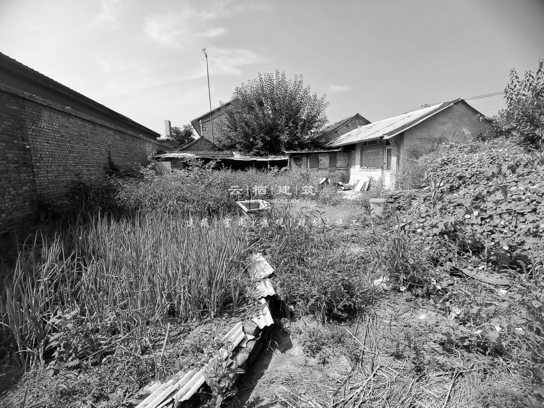 兄弟双拼别墅高大尚,9米开间兄弟双拼房实景图