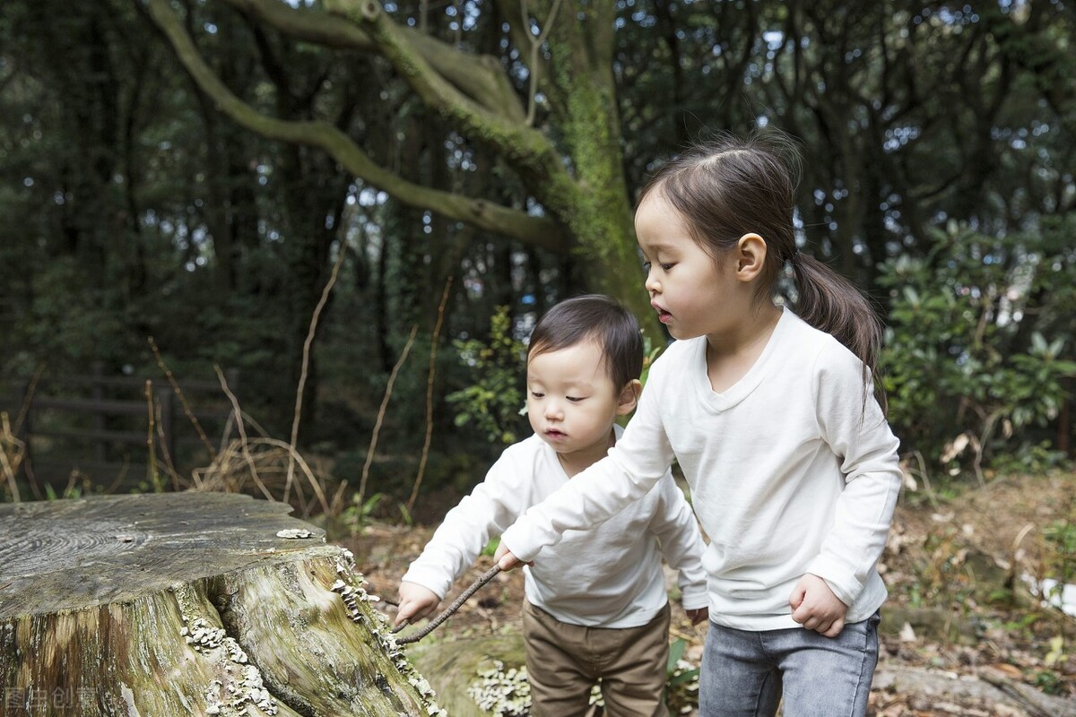 我翻了6千条评论，找了38个故事，为你呈现真实的中国姐弟关系