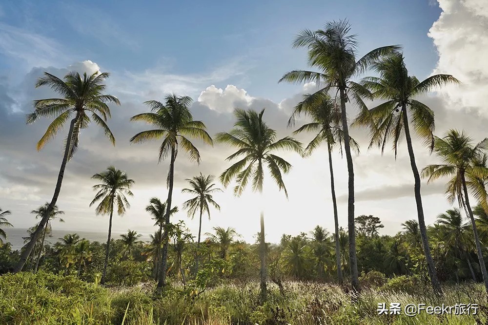 最值得一去的海岛推荐,适合自由行的东南亚海岛