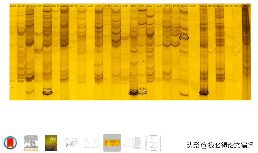 这款无需注册的线上PDF编辑网站，永久免费，可无限次使用