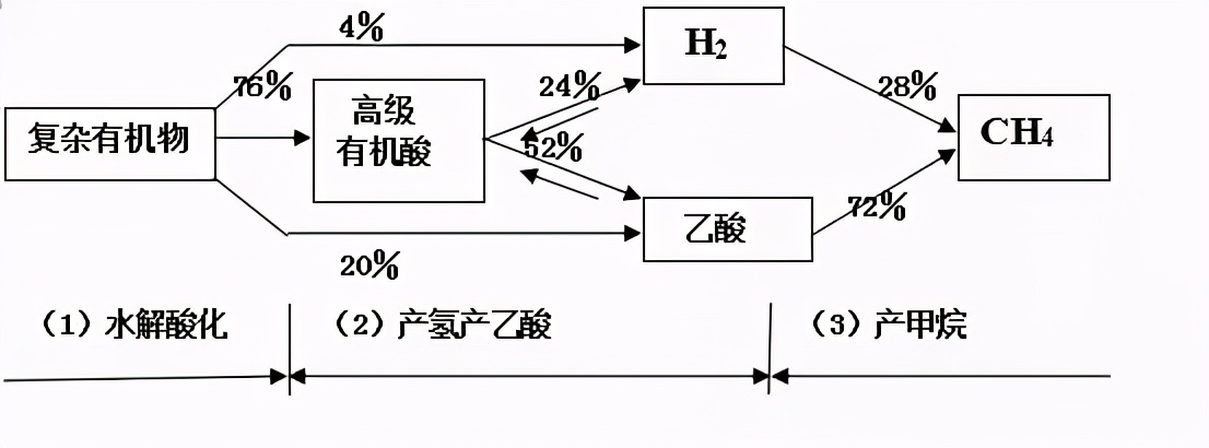 厌氧消化反应器,厌氧反应器缺点