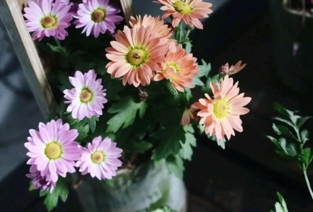 对你爱的人说谢谢,如果你爱的人总是跟你说谢谢