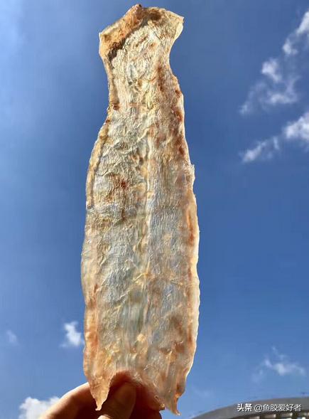 坚持吃花胶,吃花胶的体会