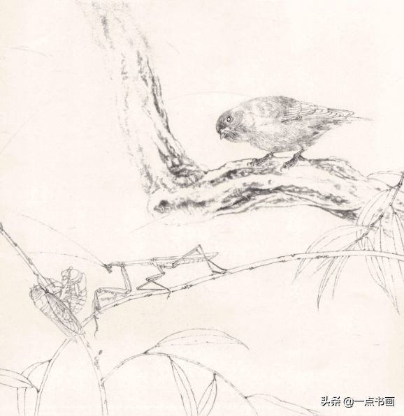 工笔斗方花鸟画图片,工笔花鸟画白描水仙