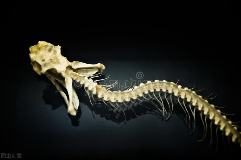 蛇性本淫什么意思,蛇性本淫的意思