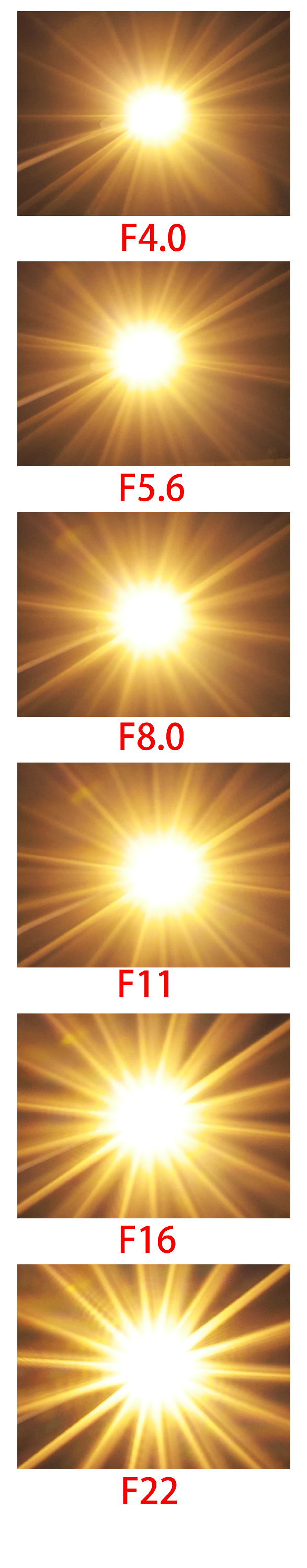 史上最轻便长焦利器佳能RF70-200mmF4L镜头评测