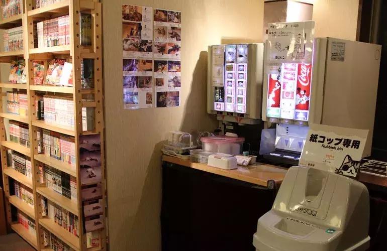 可以撸羊驼撸猫撸狗的咖啡厅,猫咖咖啡馆买猫