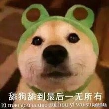 微信小程序舔狗,好玩实用的沙雕小程序推荐