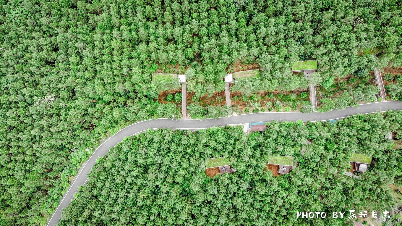 郴州最好的民宿排行榜,郴州山上的民宿推荐