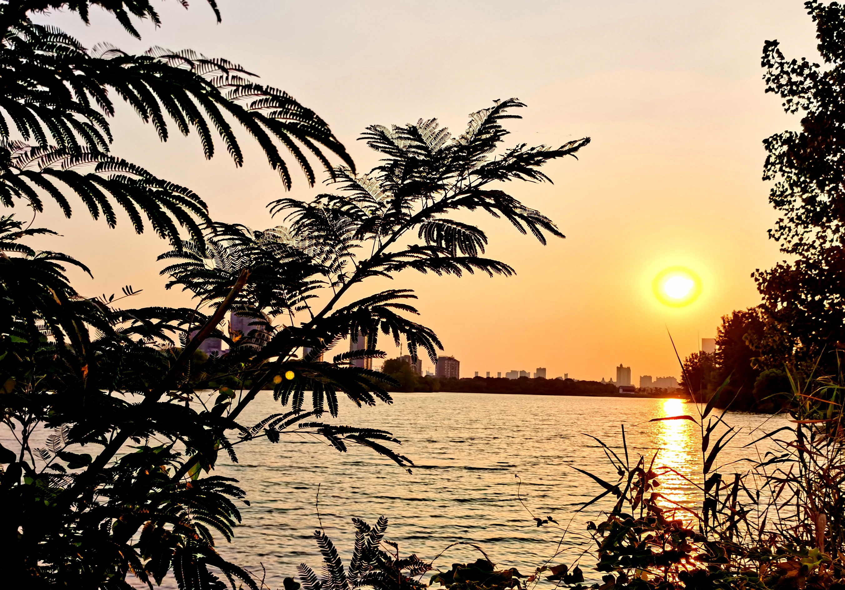 沉睡的历史与惊艳的现实——走读东西湖