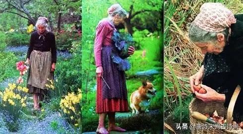 塔莎奶奶的花园纪录片英文版,塔莎奶奶的真实生活照
