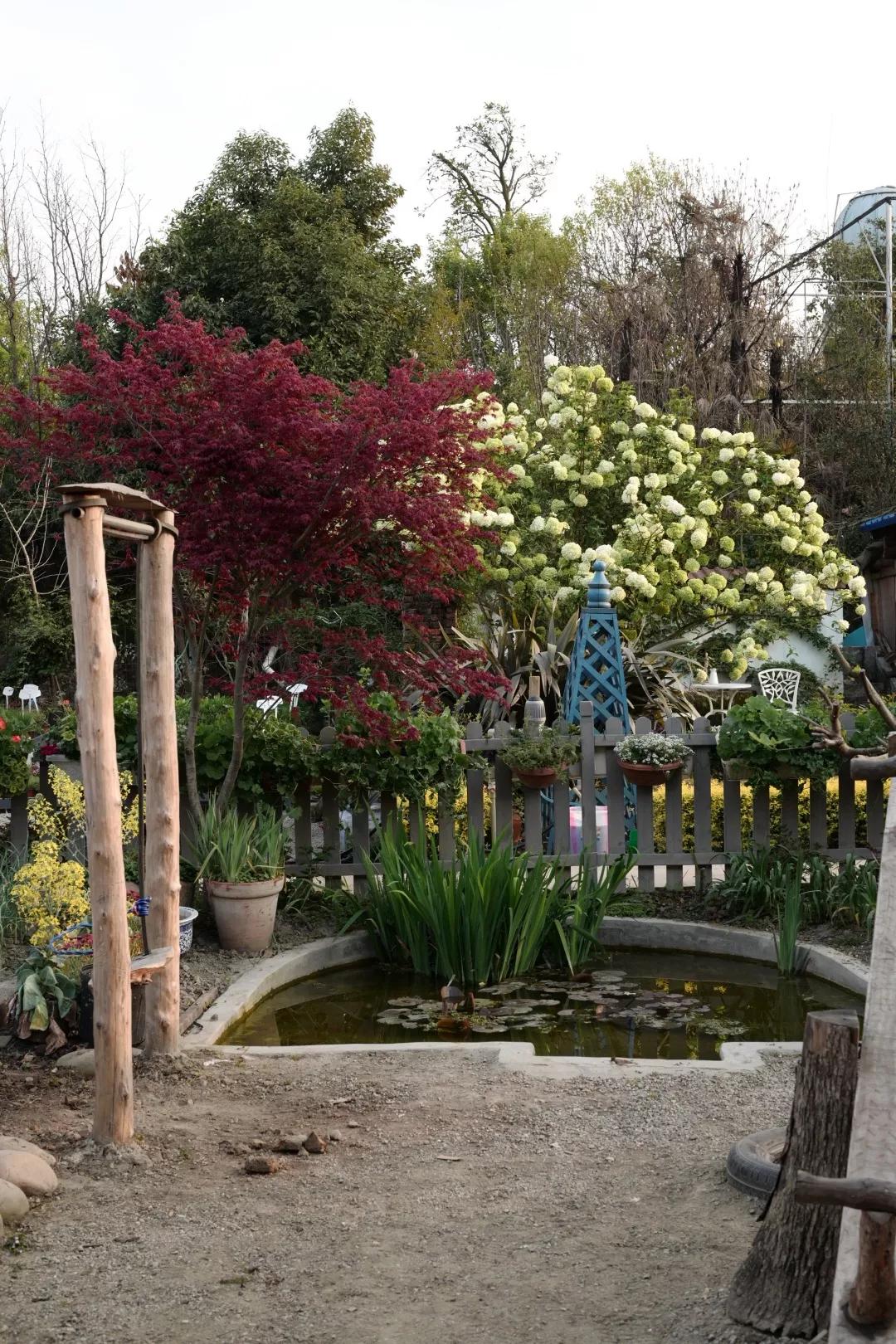 建一座完全不打药的生态花园，所有生命在这里和谐共处，值得收藏