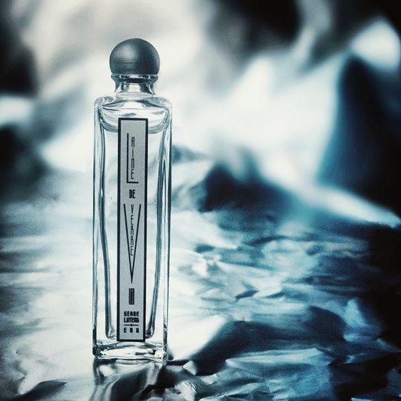 什么香水适合有气质清冷的女生 (平价小众高级清冷香水)