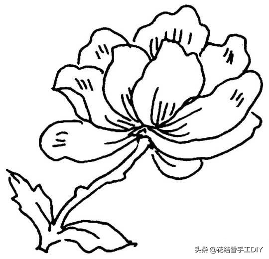 怎么学刺绣教程简单易学,刺绣技巧叶子的刺绣针法