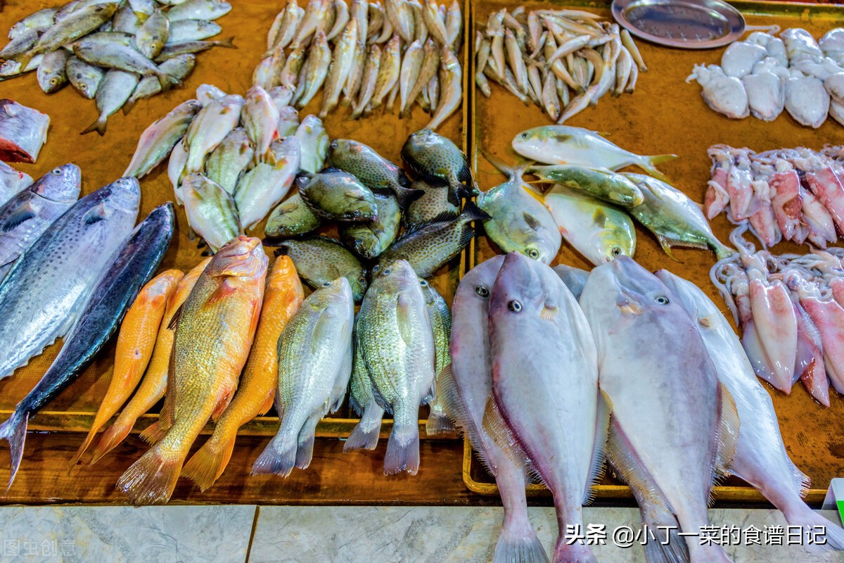 秋季适合吃的海鱼,十大最好吃又实惠的海鱼