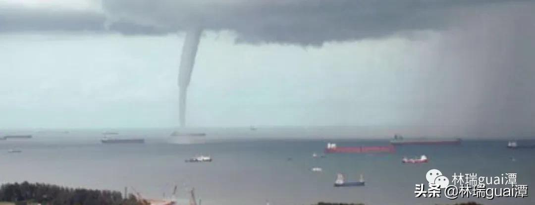 世界上龙真实存在吗,古代龙真实存在吗