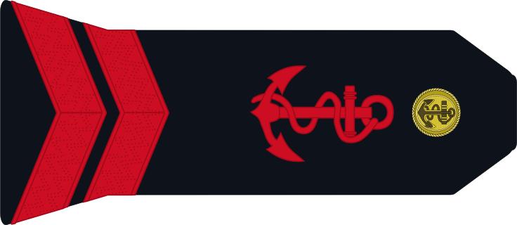 法国将军军衔等级,法国上校是什么军衔