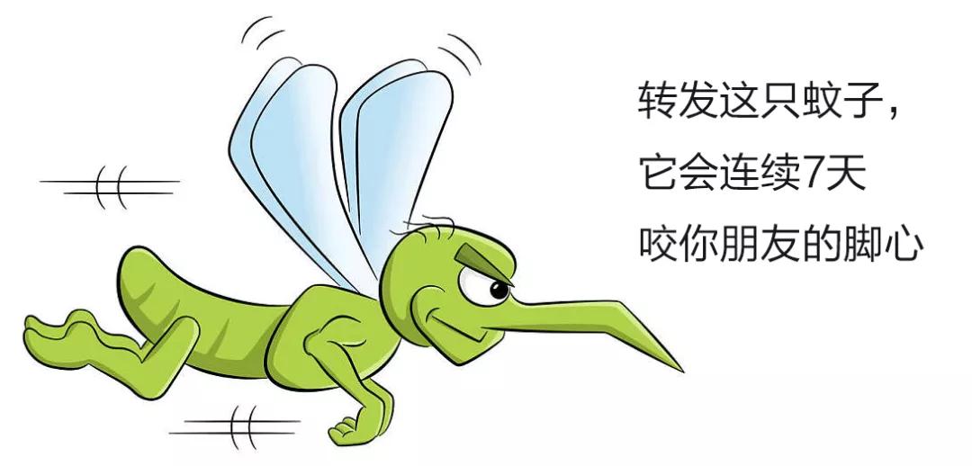 从小就吸引蚊子被蚊子咬,容易挨蚊子咬的原因