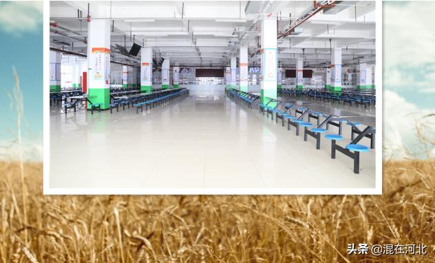 衡水学谷小镇最新进展,衡水市桃城中学办学规模