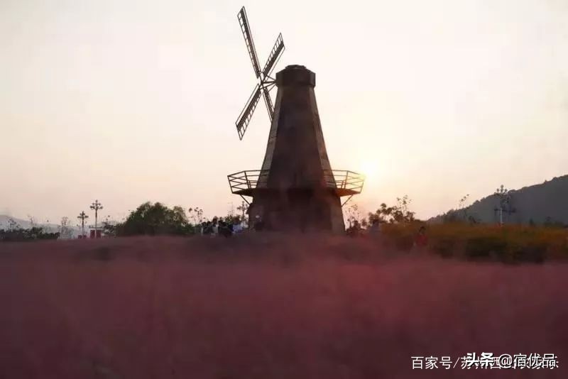 河源市连平县忠信镇大湖花海,太湖花海主题乐园