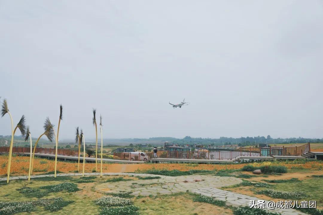 空港运动公园和空港花田哪个好耍,空港运动公园看飞机视频