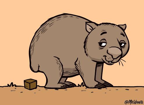 鳝鱼冷知识,冷知识第二季完整