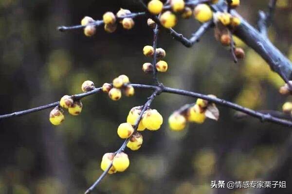 一心装着前女友的男人，最好不要嫁