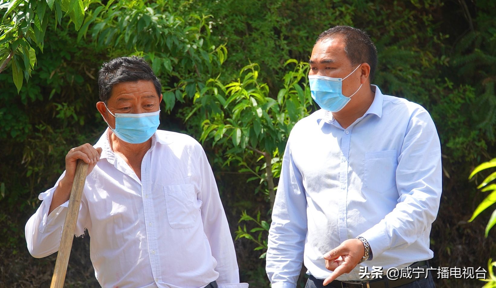 通城美丽乡村人间仙境,通城乡村振兴村景